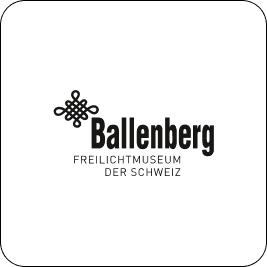 Logo 21
